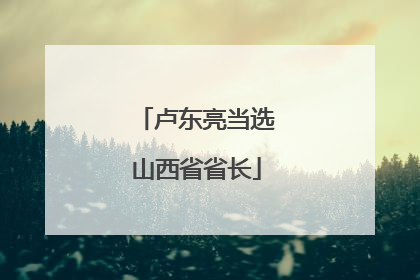 卢东亮当选山西省省长
