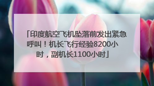 印度航空飞机坠落前发出紧急呼叫！机长飞行经验8200小时，副机长1100小时