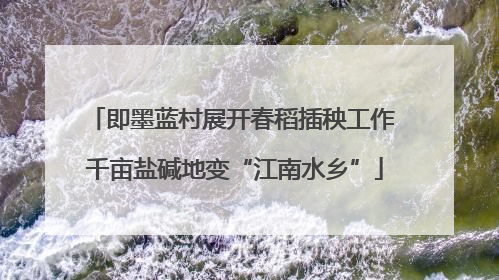 即墨蓝村展开春稻插秧工作 千亩盐碱地变“江南水乡”
