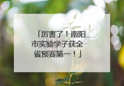 厉害了！南阳市实验学子获全省预赛第一！