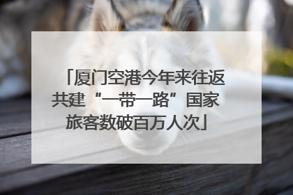 厦门空港今年来往返共建“一带一路”国家旅客数破百万人次