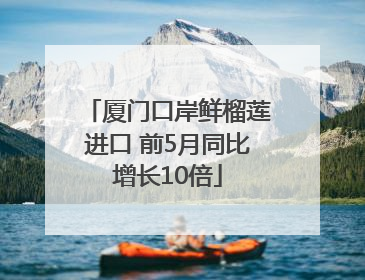 厦门口岸鲜榴莲进口 前5月同比增长10倍