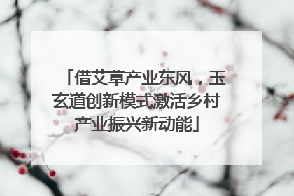 借艾草产业东风，玉玄道创新模式激活乡村产业振兴新动能