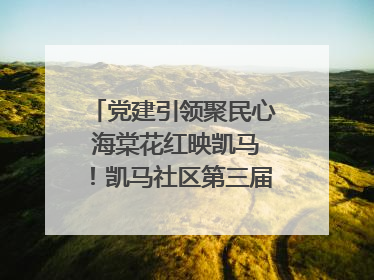 党建引领聚民心 海棠花红映凯马！凯马社区第三届邻里生活节谱写幸福新篇章