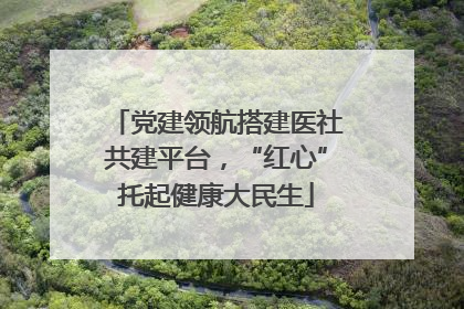 党建领航搭建医社共建平台，“红心”托起健康大民生