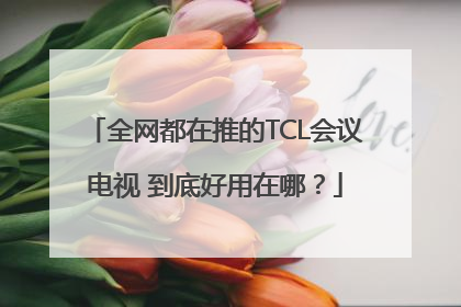 全网都在推的TCL会议电视 到底好用在哪？