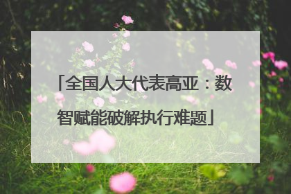 全国人大代表高亚：数智赋能破解执行难题