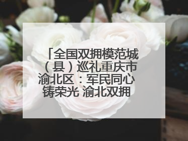 全国双拥模范城（县）巡礼重庆市渝北区：军民同心铸荣光 渝北双拥谱新篇