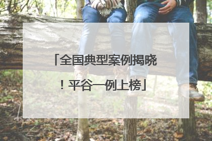 全国典型案例揭晓！平谷一例上榜