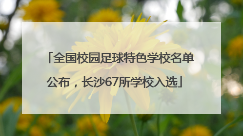 全国校园足球特色学校名单公布，长沙67所学校入选