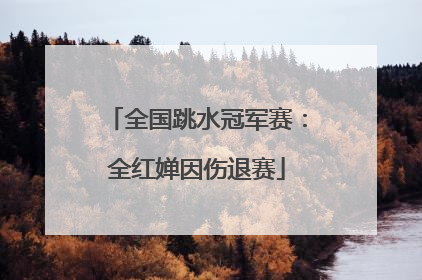 全国跳水冠军赛：全红婵因伤退赛