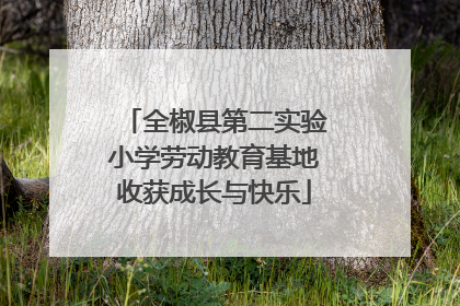 全椒县第二实验小学劳动教育基地收获成长与快乐