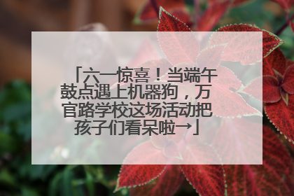 六一惊喜！当端午鼓点遇上机器狗，万官路学校这场活动把孩子们看呆啦→