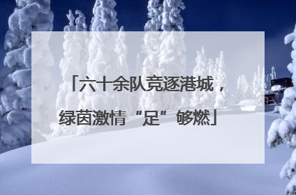 六十余队竞逐港城，绿茵激情“足”够燃