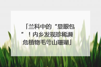 兰科中的“显眼包”！内乡发现珍稀濒危植物毛萼山珊瑚