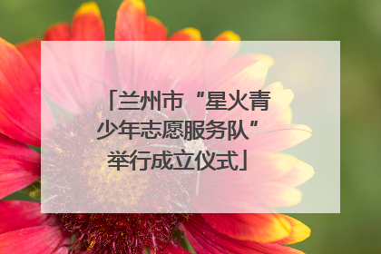 兰州市“星火青少年志愿服务队”举行成立仪式