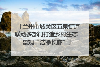 兰州市城关区五泉街道联动多部门打造乡村生态景观“洁净长廊”