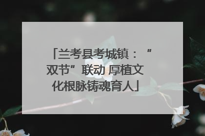 兰考县考城镇：“双节”联动 厚植文化根脉铸魂育人