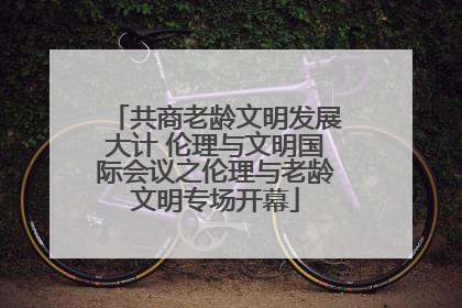 共商老龄文明发展大计 伦理与文明国际会议之伦理与老龄文明专场开幕