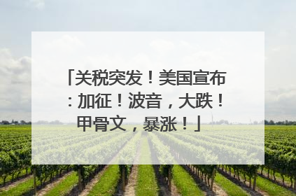 关税突发！美国宣布：加征！波音，大跌！甲骨文，暴涨！