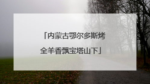 内蒙古鄂尔多斯烤全羊香飘宝塔山下