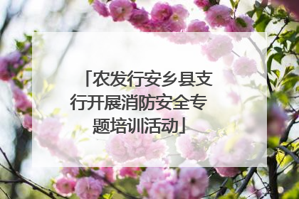 农发行安乡县支行开展消防安全专题培训活动
