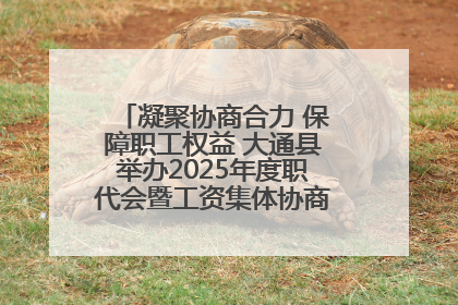 凝聚协商合力 保障职工权益 大通县举办2025年度职代会暨工资集体协商现场观摩交流活动
