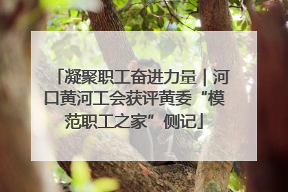 凝聚职工奋进力量｜河口黄河工会获评黄委“模范职工之家”侧记