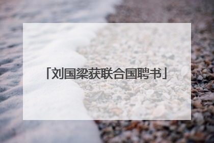 刘国梁获联合国聘书