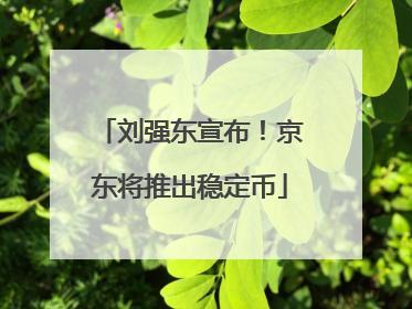 刘强东宣布！京东将推出稳定币
