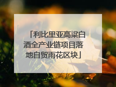 利比里亚高粱白酒全产业链项目落地自贸雨花区块