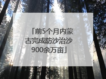 前5个月内蒙古完成防沙治沙900余万亩