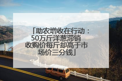 助农增收在行动：50万斤洋葱滞销 收购价每斤却高于市场价三分钱