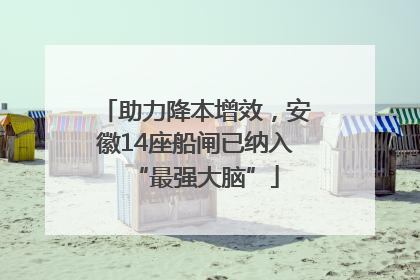 助力降本增效，安徽14座船闸已纳入“最强大脑”