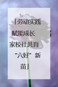 劳动实践赋能成长 家校社共育“六好”新苗