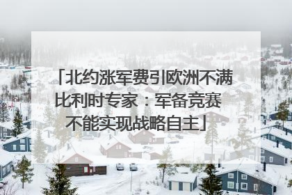北约涨军费引欧洲不满 比利时专家：军备竞赛不能实现战略自主