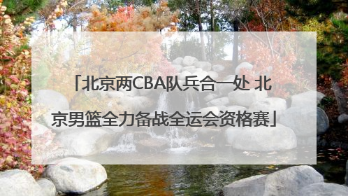 北京两CBA队兵合一处 北京男篮全力备战全运会资格赛