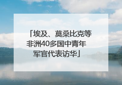 埃及、莫桑比克等非洲40多国中青年军官代表访华