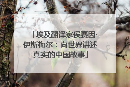 埃及翻译家侯赛因·伊斯梅尔：向世界讲述真实的中国故事
