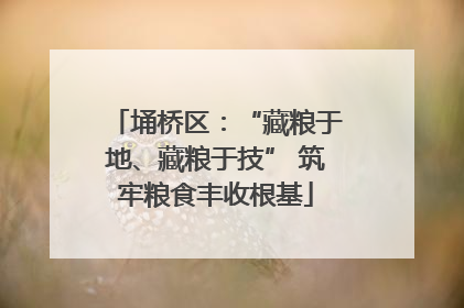 埇桥区：“藏粮于地、藏粮于技” 筑牢粮食丰收根基