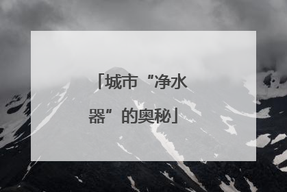 城市“净水器”的奥秘
