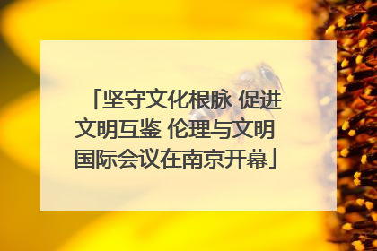 坚守文化根脉 促进文明互鉴 伦理与文明国际会议在南京开幕