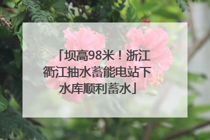 坝高98米！浙江衢江抽水蓄能电站下水库顺利蓄水
