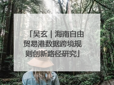 吴玄｜海南自由贸易港数据跨境规则创新路径研究