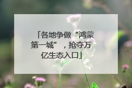 各地争做“鸿蒙第一城”，抢夺万亿生态入口