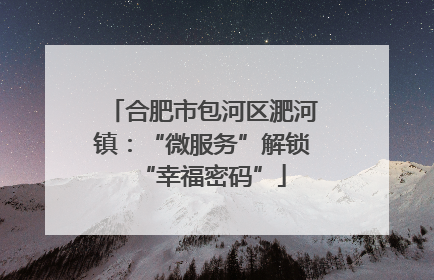 合肥市包河区淝河镇：“微服务”解锁“幸福密码”
