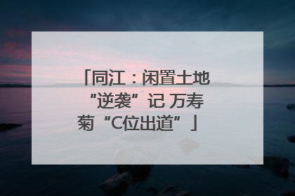 同江：闲置土地“逆袭”记 万寿菊“C位出道”