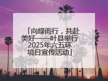 向绿而行，共赴美好——叶县举行2025年六五环境日宣传活动
