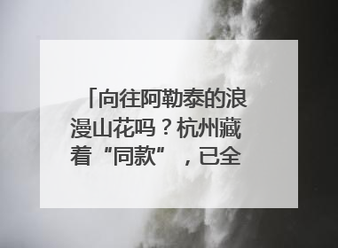 向往阿勒泰的浪漫山花吗？杭州藏着“同款”，已全面进入盛花期
