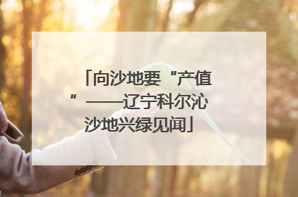 向沙地要“产值”——辽宁科尔沁沙地兴绿见闻